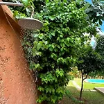 The Majestic Marrakesh Villa 2
